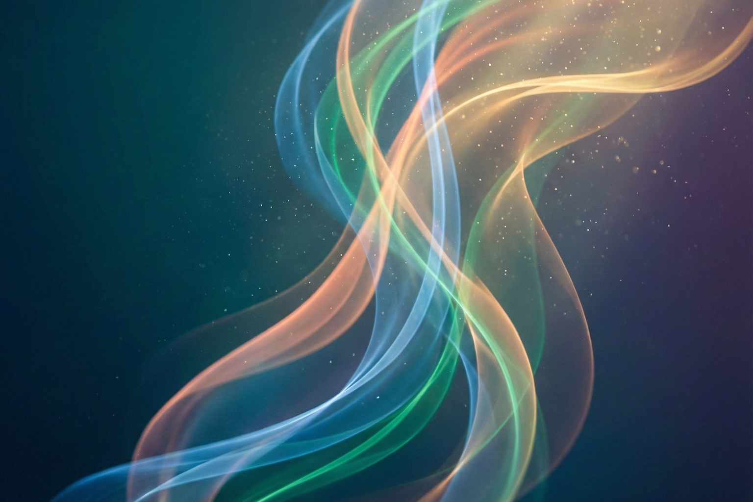 01月17日（土）開催ライブ